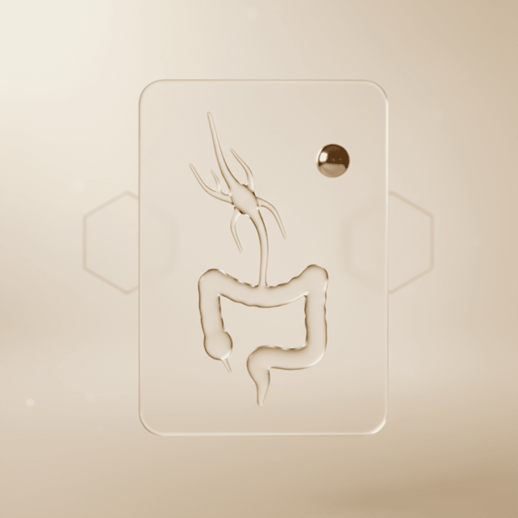 Gut–Vagus Restoration