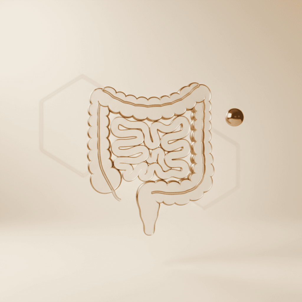 Digestive Function